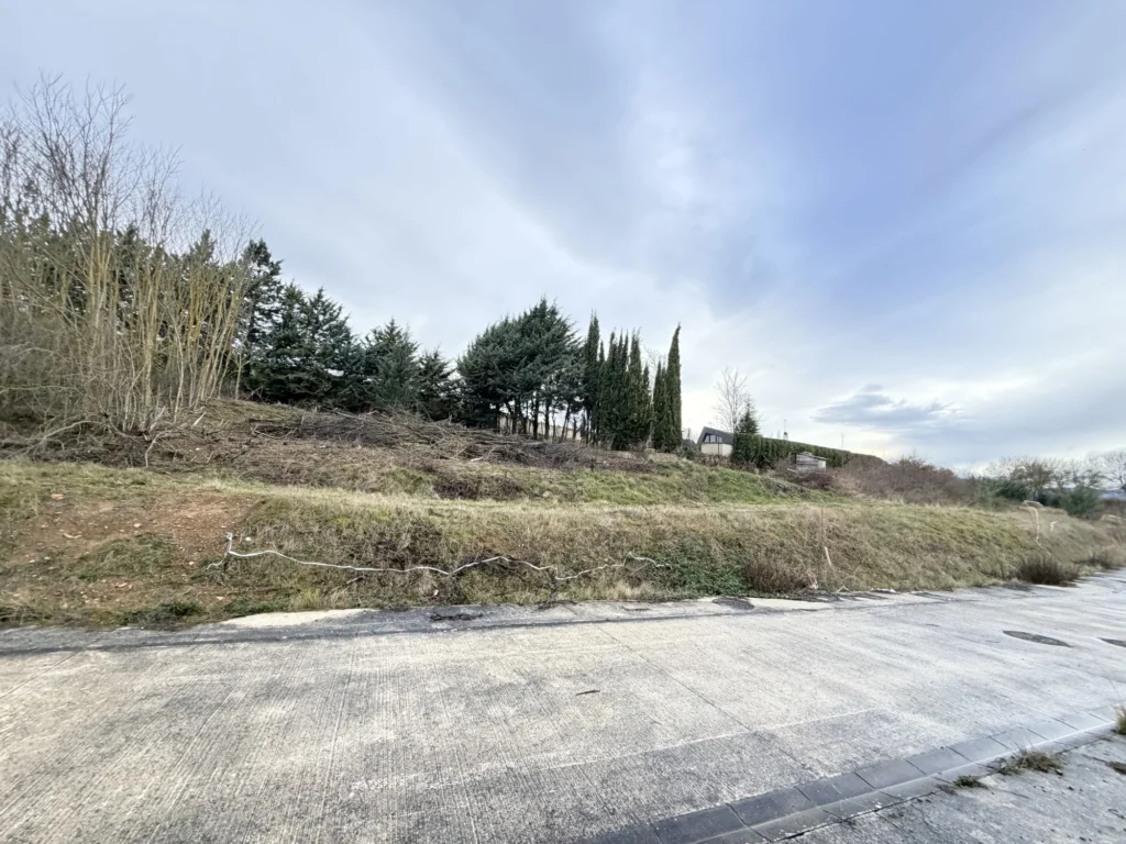 navarra spain - ¡SOLAR PARA PROMOCIÓN DE VIVIENDAS EN ARLEGUI – CENDEA DE GALAR!